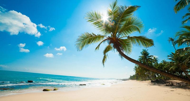 Cẩm nang du lịch Phú Quốc