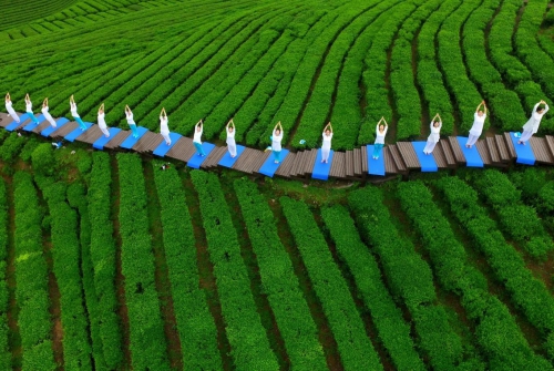 Tận hưởng thời gian ở nhà như đi nghỉ dưỡng thế nào? 
